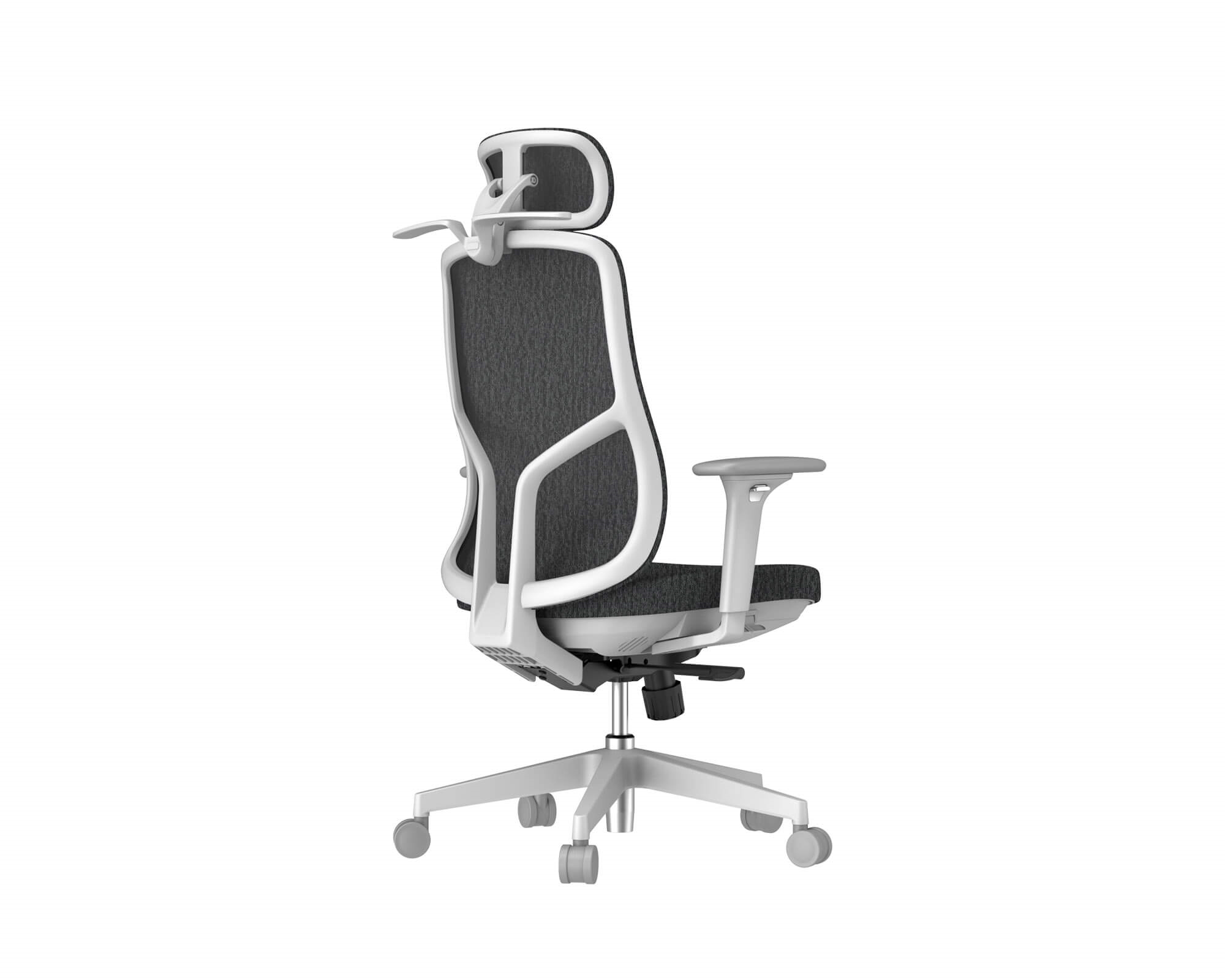 Ghế công thái học văn phòng - DD-CM-OEC-Sail003