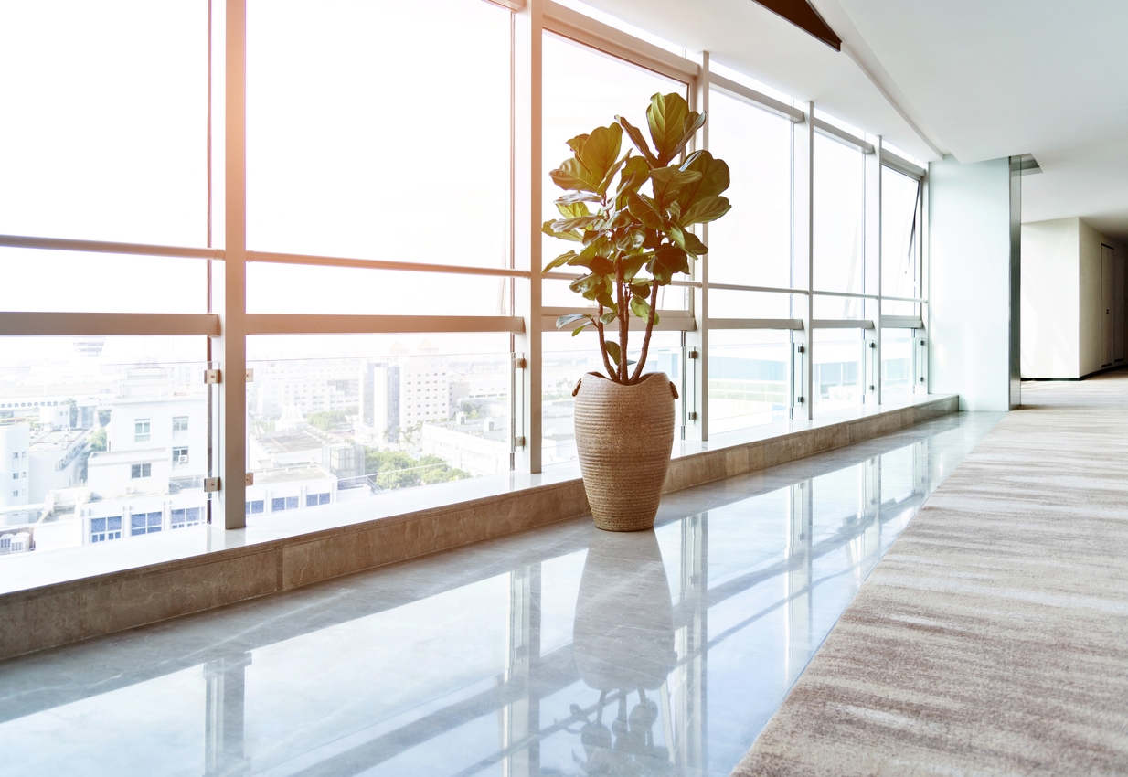 Tương Lai Thuộc Về Những Tòa Nhà