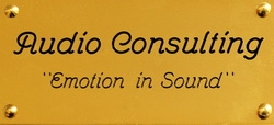 Audio Consulting