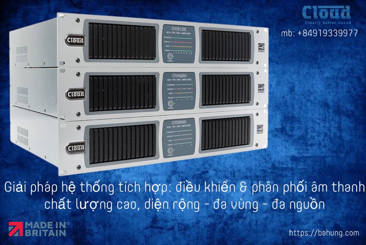 Bộ khuếch đại đa kênh, DSP, Dante tuỳ chọn