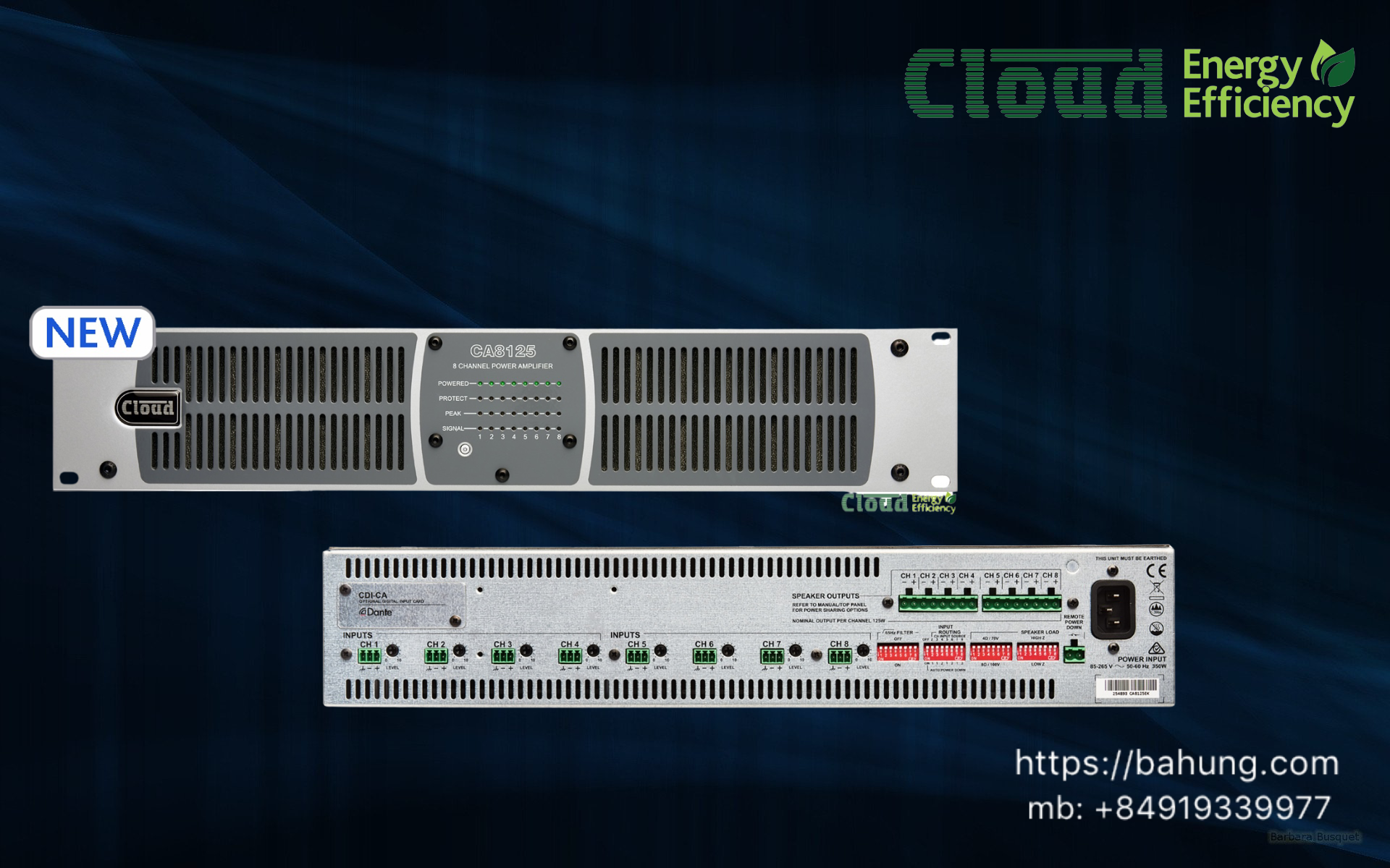 Multi-Channel Amplifiers