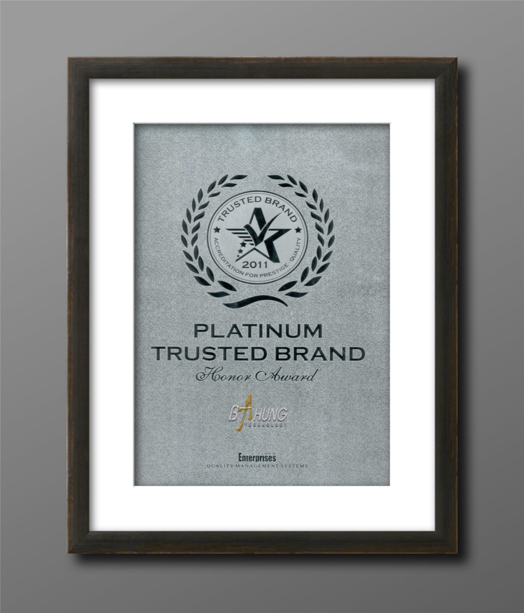 Platinum 2011