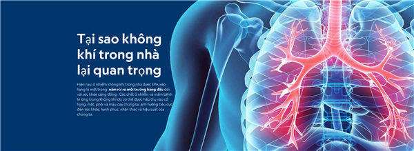 Tại sao không khí trong nhà lại quan trọng