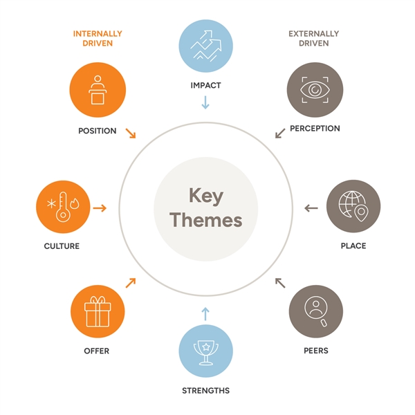 Insights & Themes