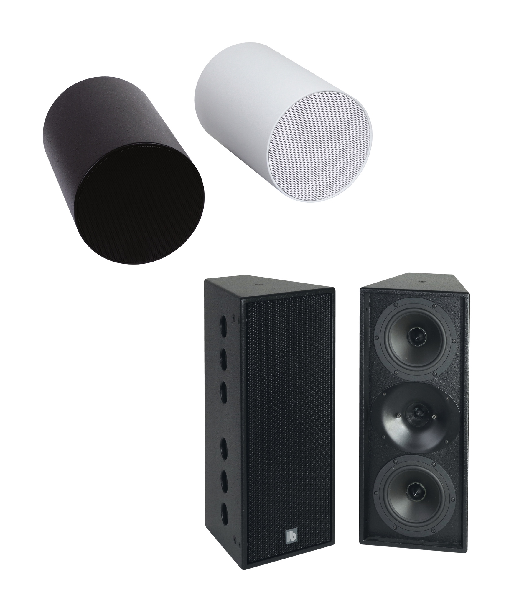 Loa định hướng