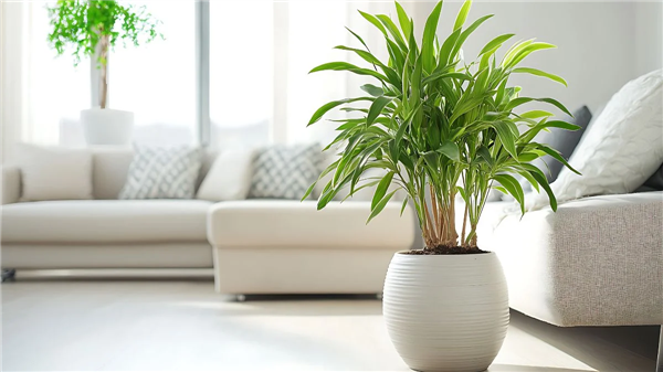 Căn nhà bạn xây cho gia đình — Đã đủ an toàn ở thứ không nhìn thấy được chưa?